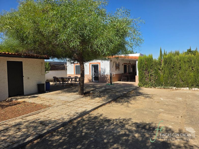 Foto a86c8c9c-9826-4d7c-9d4c-490d08e5a592. Casa amb xemeneia piscina a Oromana Alcalá de Guadaira