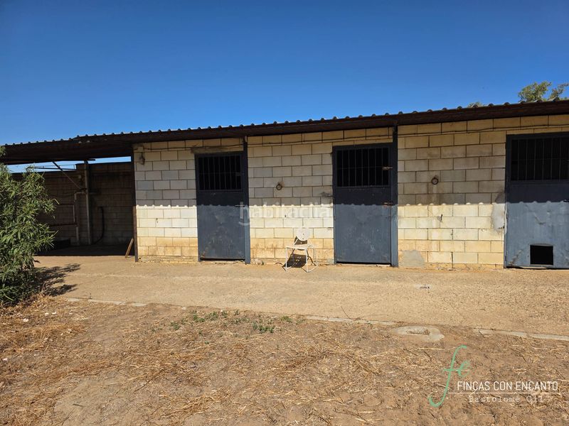 Foto b243abd6-ab38-43a9-b01a-8e7c5d1fada7. Casa amb xemeneia piscina a Oromana Alcalá de Guadaira