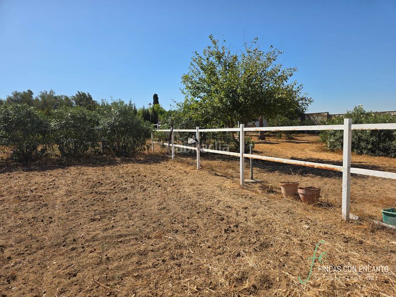 Foto c391f037-f3e4-40ab-825f-f411c97dfddc. Casa amb xemeneia piscina a Oromana Alcalá de Guadaira