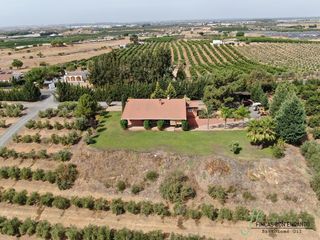Masia a Cartaya. Magnífica finca ecuestre con olivar en la costa de huelva