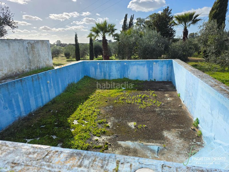 Foto 17b939da-f2df-40ab-a6e3-17ee6c9044e2. Masia amb xemeneia piscina a Marchena