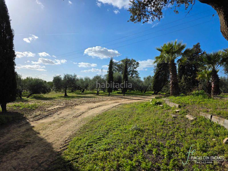 Foto 4afecd65-7936-42ff-a18c-5da07473bb0d. Masia amb xemeneia piscina a Marchena