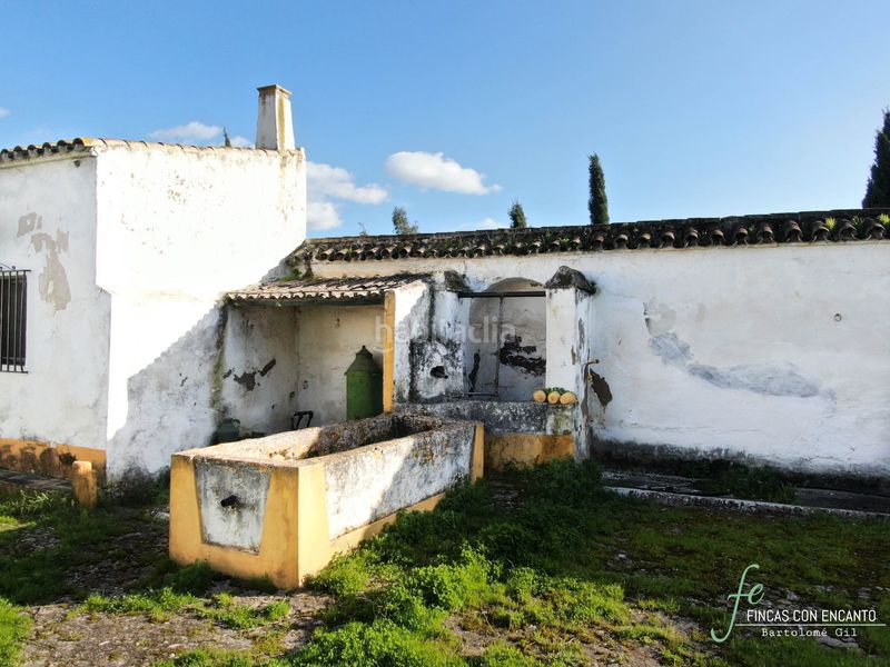 Foto a5721899-e876-4e7f-a854-fddc4edd106e. Masia amb xemeneia piscina a Marchena