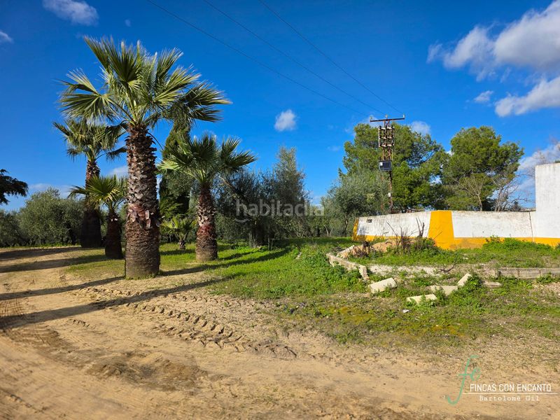 Foto d3588bb3-f8bd-41cd-acf3-5df221211af2. Masia amb xemeneia piscina a Marchena