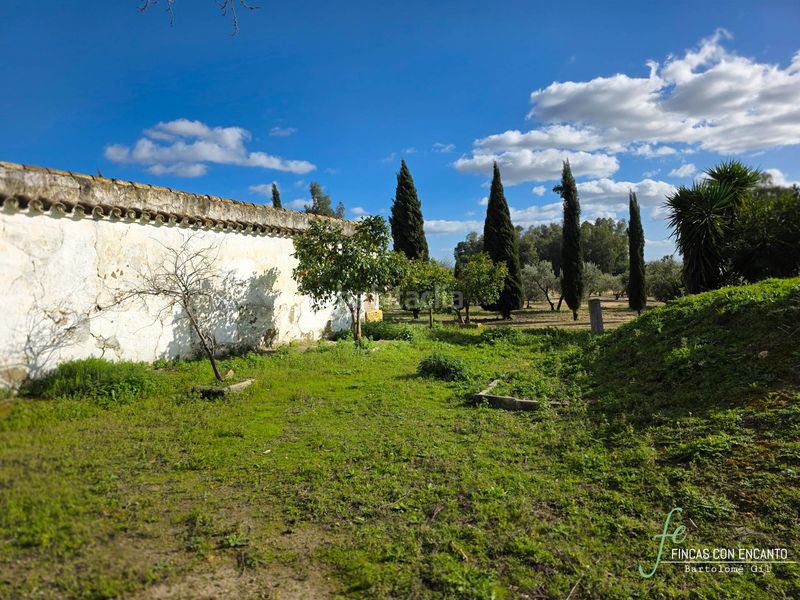 Foto d5fe3841-eb90-4470-8411-6cdd75e4d119. Masia amb xemeneia piscina a Marchena