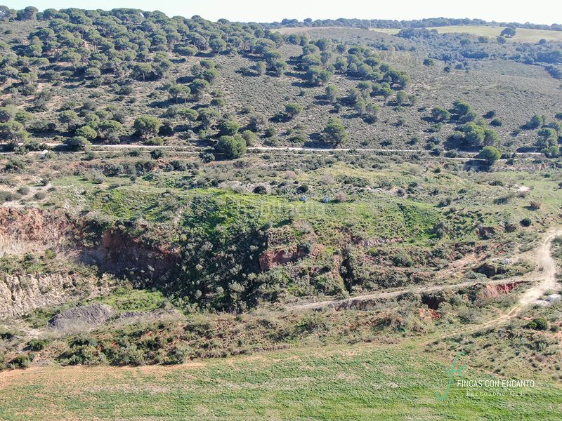 Foto 11454af5-072b-4937-bd89-a2630196d3d1. Finca rústica a Arcos de la Frontera