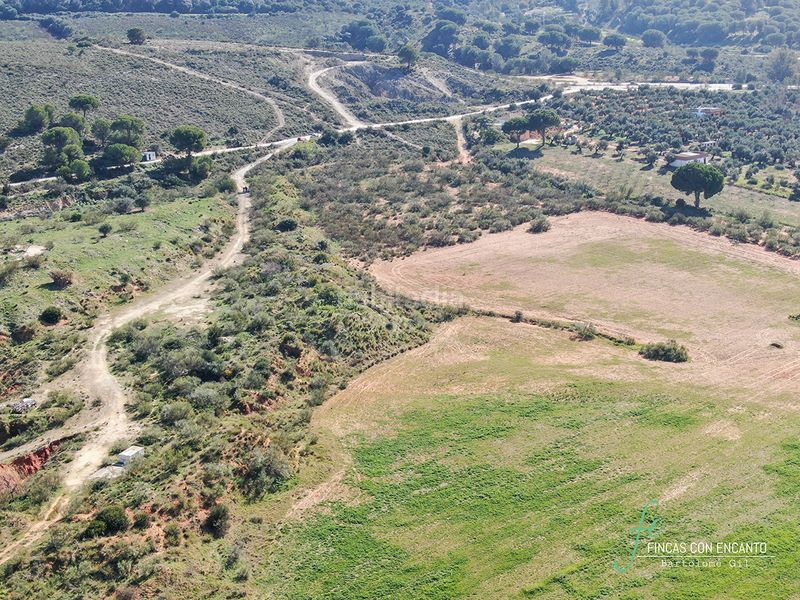 Foto 2798a058-748c-4b9b-a8d3-1d565ebdfa43. Finca rústica a Arcos de la Frontera