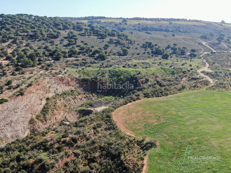 Foto 3a0bd648-7155-400c-bacd-e7ab21e6b165. Finca rústica a Arcos de la Frontera