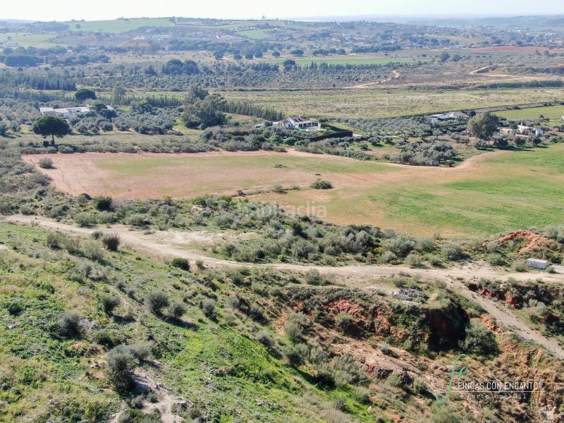 Foto 4243397a-54d5-480a-8b68-4d9a95b18b7a. Finca rústica a Arcos de la Frontera