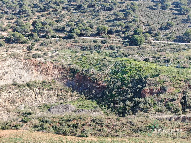 Foto d0f76e7b-73e5-4d19-8a90-37a30d62add6. Finca rústica a Arcos de la Frontera