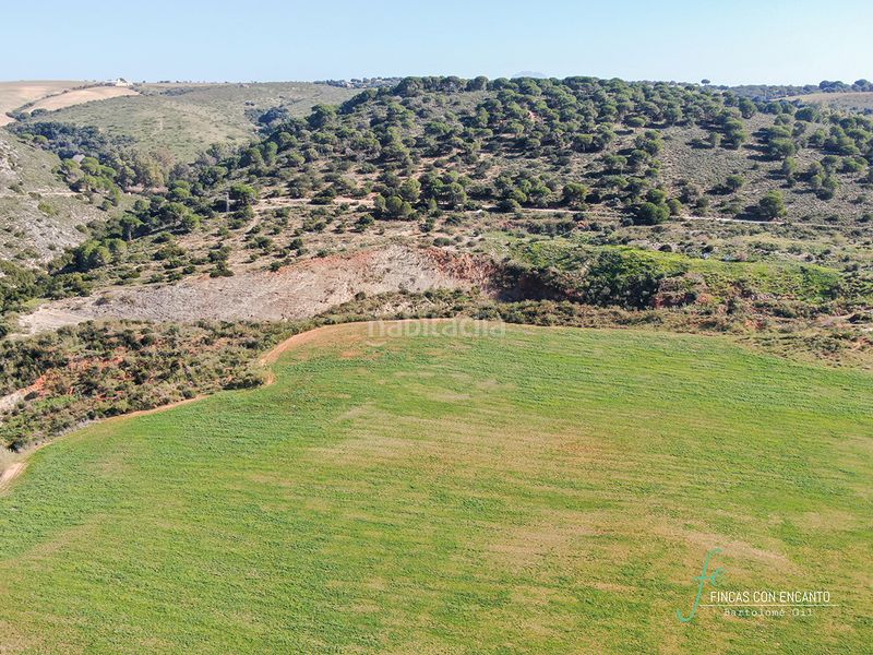 Foto e546002f-6c8a-4e44-896a-72ea1e9d8ee4. Finca rústica a Arcos de la Frontera