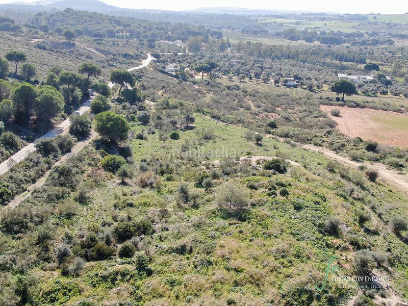 Foto f4166f35-52ee-4d6d-836a-5ae892d06384. Finca rústica a Arcos de la Frontera
