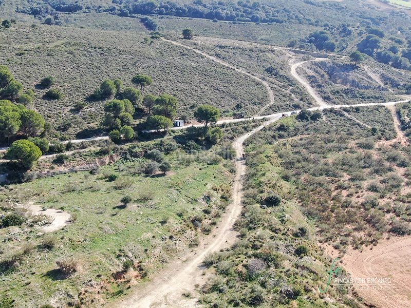 Foto fae1692f-ed4b-43ce-95d3-f82004e53d83. Finca rústica a Arcos de la Frontera