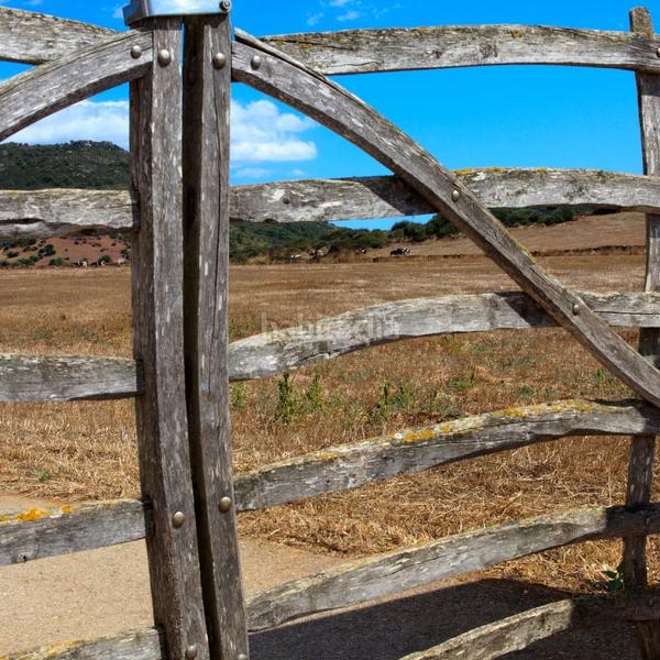 Foto c3bb7fce-94db-44db-a521-d12eb3d8a740. Finca rústica a Alaior poble Alaior