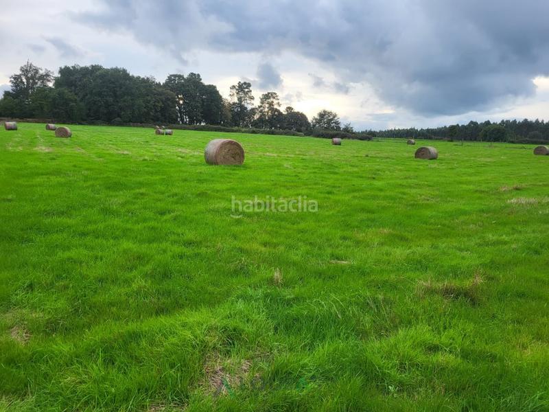 Foto 228c1e89-f007-46e4-ab49-a870ca15c35a. Terreno residencial parcela en codesal lugo en Láncara