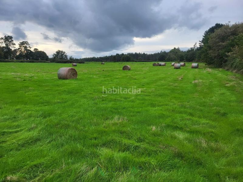 Foto 7fc619a5-24a7-4ec1-af59-7cdf18e6d0b3. Terreno residencial parcela en codesal lugo en Láncara