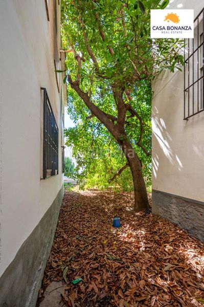 Foto d0eeb053-4092-4e0f-a87a-54ea7e4948a6. Casa a Jete