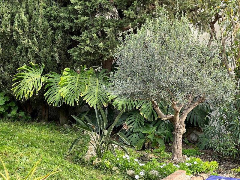 Foto 0d6ad837-6102-4d31-bf05-e852a38595ac. Casa amb piscina a Cotobro Almuñécar