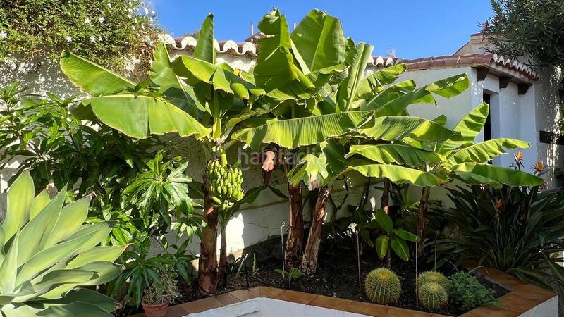 Foto dd6aa79e-8882-4aff-9cc2-2e7fcfbbda11. Casa amb piscina a Cotobro Almuñécar