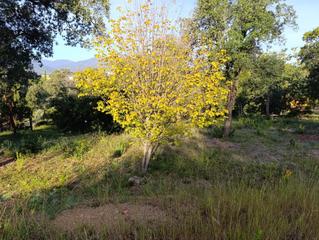 Terreno residencial en Bescanó. Terreny en venta urbanització mas llunés