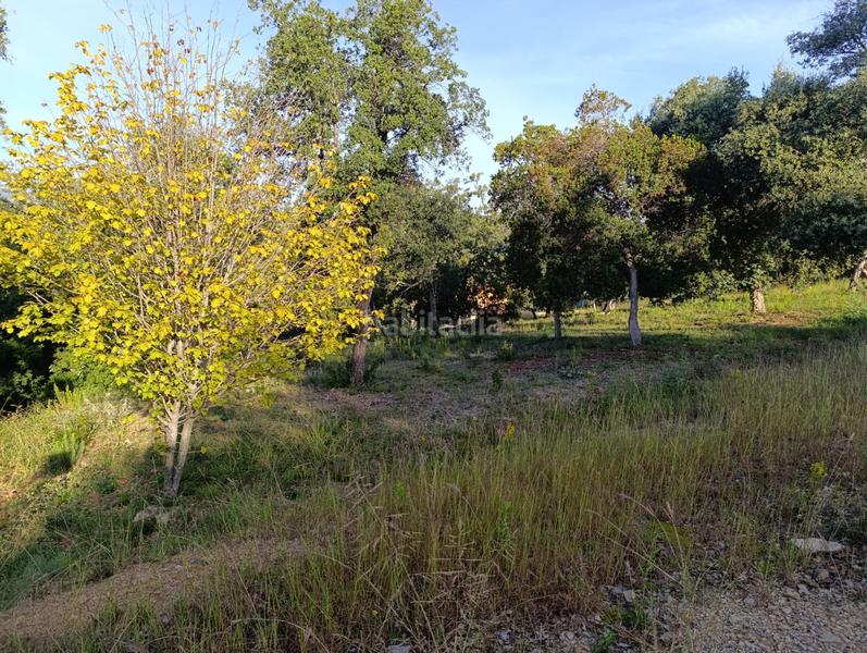 Foto 482a8ed3-5119-4a98-9ae5-3fe52badca73. Terreno residenziale in Bescanó