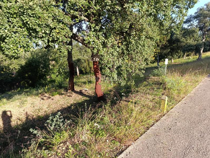 Foto c94fc2ae-0d2a-4b97-8487-9baf913da8cd. Terreno residenziale in Bescanó