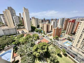 Pis a De montecarlo 22. Piso benidorm