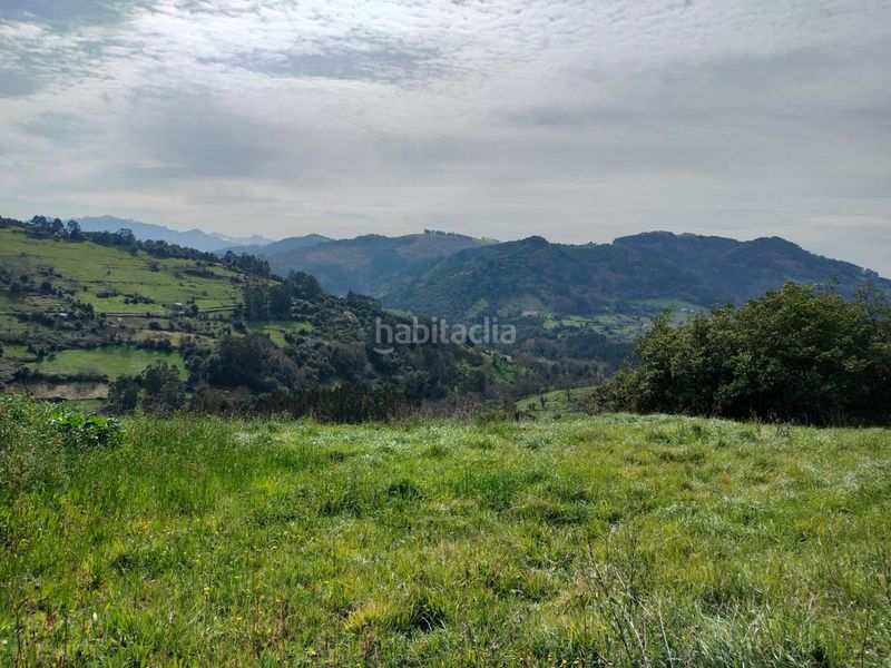 Foto 37e90b8e-9e1f-48fc-982a-1e9cb191b3bf. Terreno residencial parcela edificable con vistas magnificas en Candamo