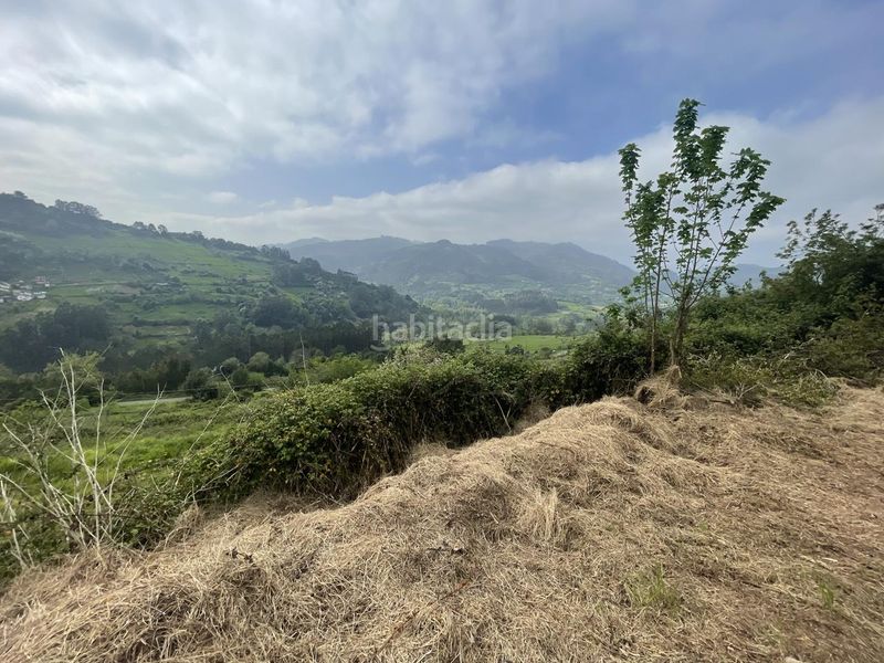 Foto f9811700-08d8-48c7-9dae-29b403a88415. Terreno residencial parcela edificable con vistas magnificas en Candamo