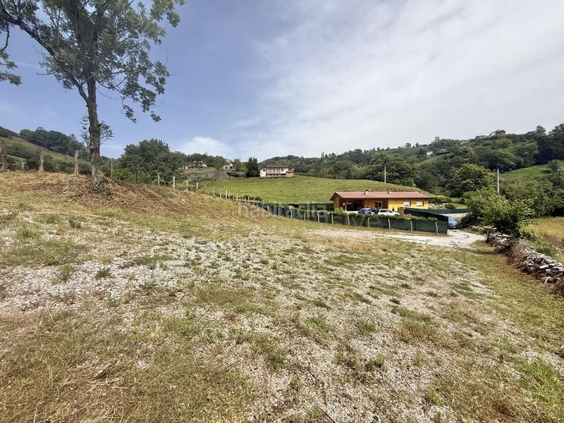 Foto 196369e7-fa8c-4029-8240-c61ad0a6c12c. Terreny residencial a Riosa