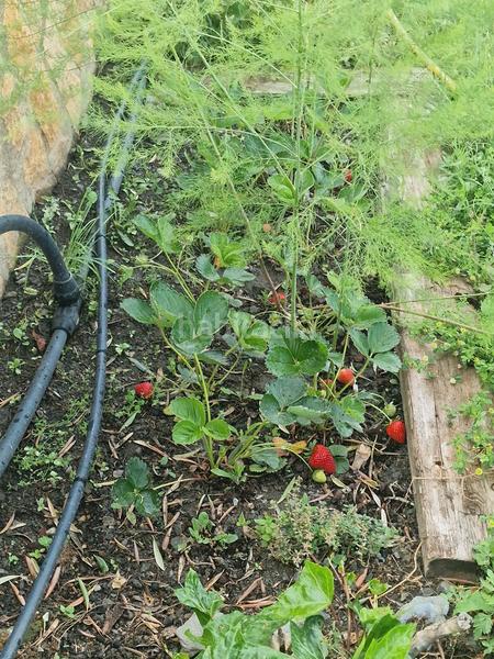 Foto 0de2b455-cdfd-4a62-9265-30cc26b8e182. Xalet amb xemeneia calefacció aparcament piscina a Bérchules