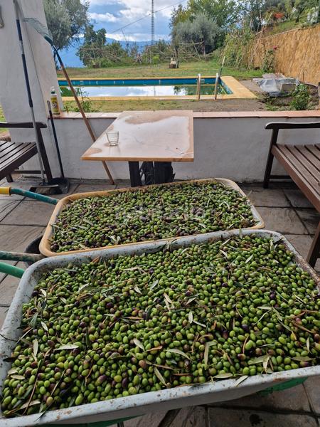 Foto 3f262030-86e5-48b8-8b9a-085b67739294. Xalet amb xemeneia calefacció aparcament piscina a Bérchules