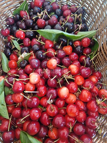 Foto 4d047098-f268-4d3d-8279-c209667fb757. Xalet amb xemeneia calefacció aparcament piscina a Bérchules