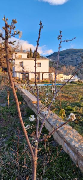 Foto 5652f6b5-6e58-4002-86c5-07b65781a64b. Xalet amb xemeneia calefacció aparcament piscina a Bérchules