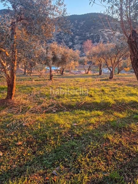 Foto 6aba3431-86a3-4761-8358-ba21b1f3e99f. Xalet amb xemeneia calefacció aparcament piscina a Bérchules