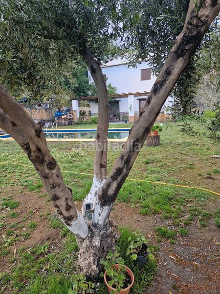 Foto 725a4e54-f298-403c-b361-a0a838547a2c. Xalet amb xemeneia calefacció aparcament piscina a Bérchules