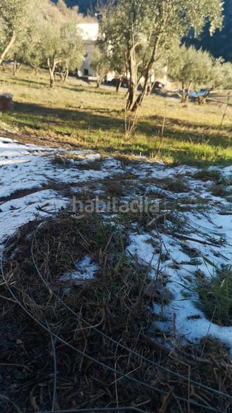 Foto 7664fefe-9a73-4f2e-b119-ff4832e55dd3. Xalet amb xemeneia calefacció aparcament piscina a Bérchules