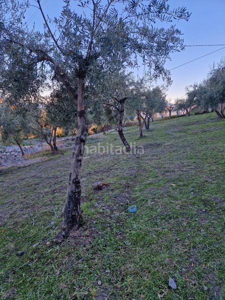 Foto 9249dbef-375e-472a-9241-8c0bf3ff33a5. Xalet amb xemeneia calefacció aparcament piscina a Bérchules