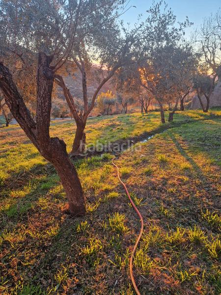 Foto 9be7aa1b-acb5-4f8b-a6dc-fa563e0b35c0. Xalet amb xemeneia calefacció aparcament piscina a Bérchules