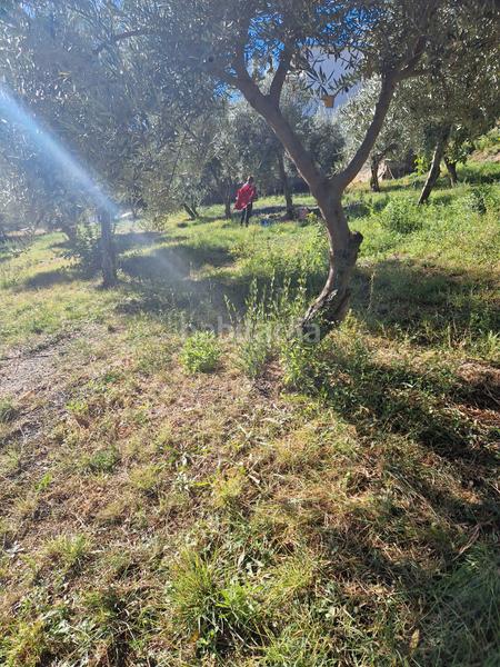 Foto bb9b00d1-67f8-45e3-85f1-1d15283d557c. Xalet amb xemeneia calefacció aparcament piscina a Bérchules