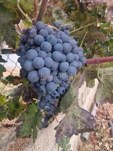 Foto cc186e68-498c-40cc-9998-9dd88d12f52e. Xalet amb xemeneia calefacció aparcament piscina a Bérchules