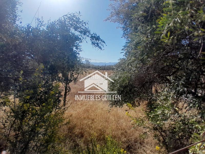 Foto 1e391504-421f-4b4c-ae7e-181912c3db45. Finca rústica parcela rustica en Berja