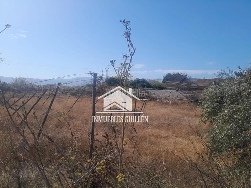 Foto 7252a249-2a5c-4c63-8d52-00835ffc9061. Finca rústica parcela rustica en Berja