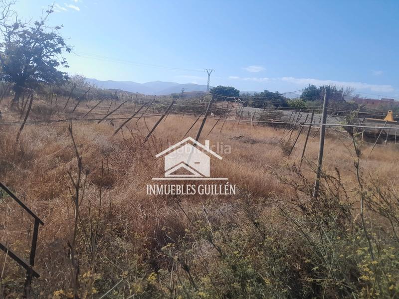 Foto 7adb8bf5-d104-46c6-a323-7d09ae887d53. Finca rústica parcela rustica en Berja