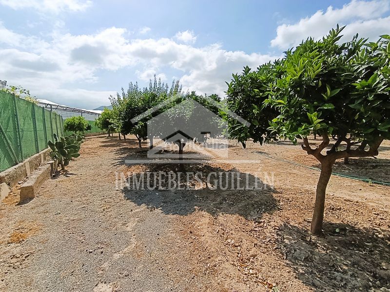 Foto 5a9d0321-6198-4315-a1a3-f6f2dcd70c70. Casa amb xemeneia piscina a Berja