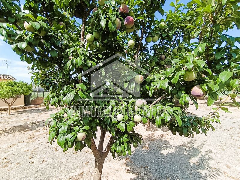 Foto 7678a5f3-9b34-4a64-b076-7be36494692c. Casa amb xemeneia piscina a Berja