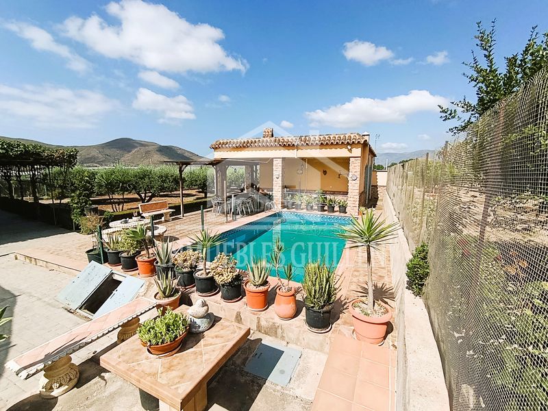 Foto 78a699b3-a33c-4fc9-b43f-58e78fe3773b. Casa amb xemeneia piscina a Berja