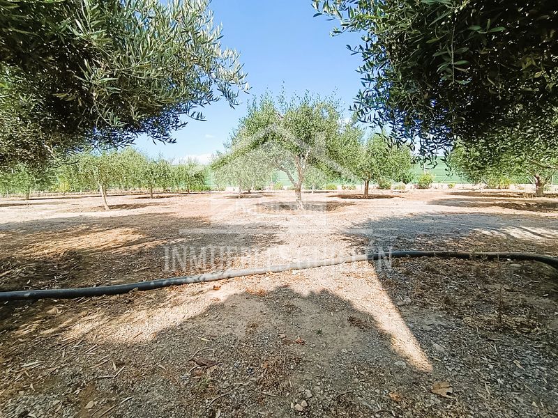 Foto a844bcf4-c401-468b-af1a-4bf0f5bab448. Casa amb xemeneia piscina a Berja
