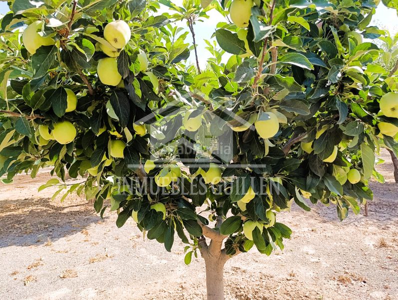 Foto c270aada-763a-47d7-a378-f557158cdbd1. Casa amb xemeneia piscina a Berja