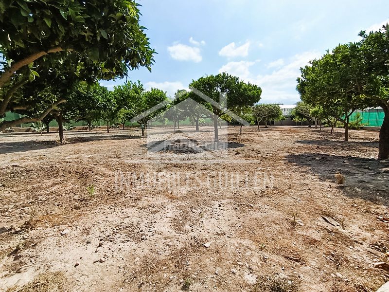 Foto cd14505e-2fed-47c9-8851-36a7b9752713. Casa amb xemeneia piscina a Berja